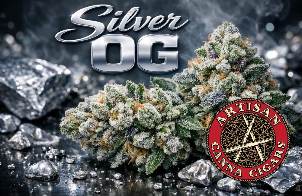 Silver OG  strain